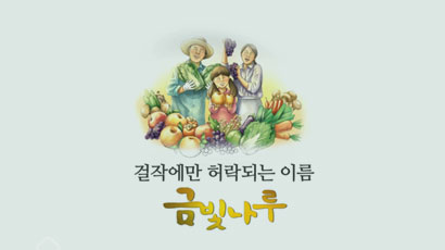 걸작에만 허락되는 이름 금빛나루