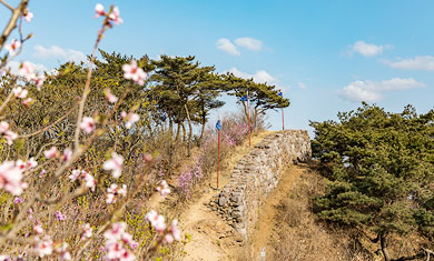 평화누리길 풍경